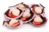 Морской гребешок филе 40-60 шт.