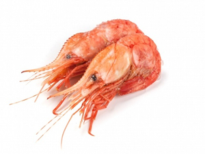 Креветка гребенчатая средняя ожидаем