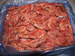 Креветка северная Магаданская