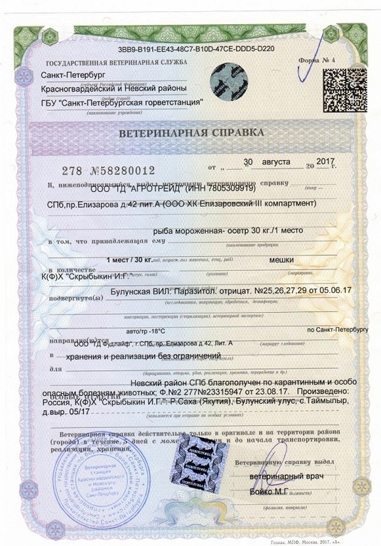 Осетрина свежемороженая тушка
